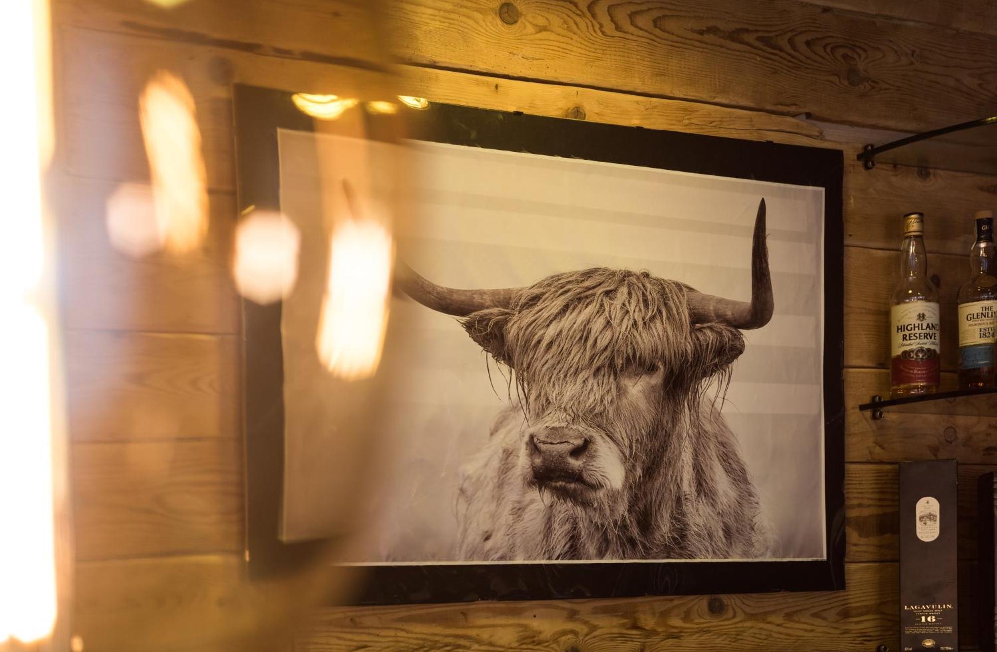 Hotel Capital Rovigo Dış mekan fotoğraf